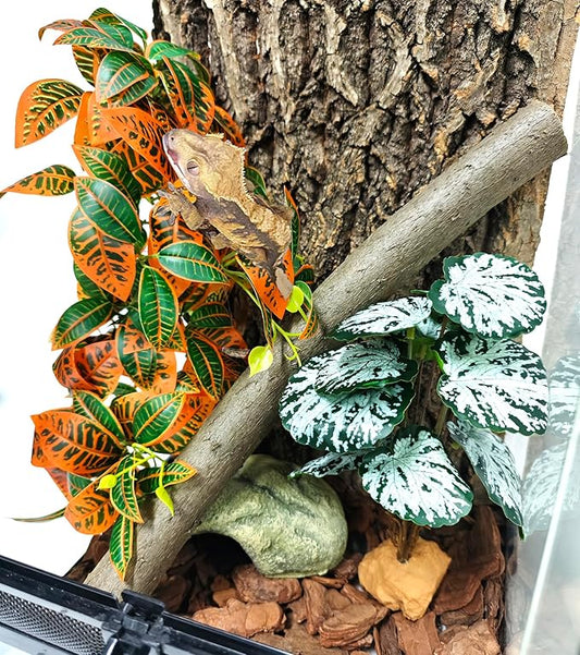 Woyrise 2 Pack Reptile Plants, Terrarium Hanging Plant Vines, Artificial Leaves with Suction Cup, Bearded Dragon Tank Accessories for Gecko Lizard Snake Frog Tortoise Decorations - Codiaeum Variegatum