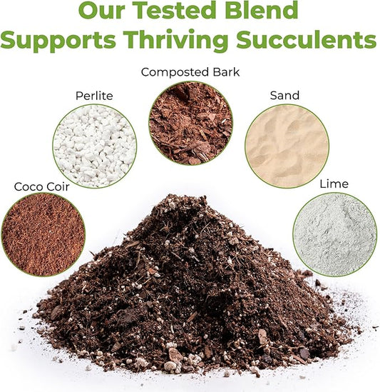Succulent & Cactus Soil Mix by Perfect Plants (1QT)