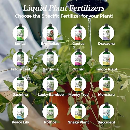 Professional Liquid Dracaena Plant Fertilizer | 3-1-2 Concentrate for Indoor Plants | Multi-Purpose Blend & Gardening Supplies | 8 oz Bottle