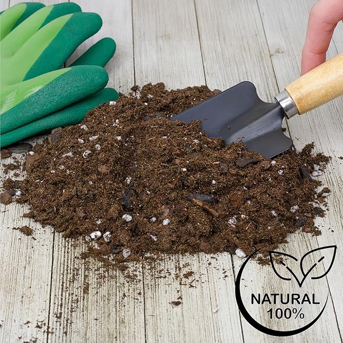 Soil Sunrise Christmas Cactus Potting Soil Mix (4 Quarts) Custom Blend for Xmas, Easter, and Thanksgiving Cactus Tropical Indoor Houseplants