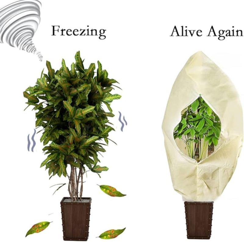 plant frost covers