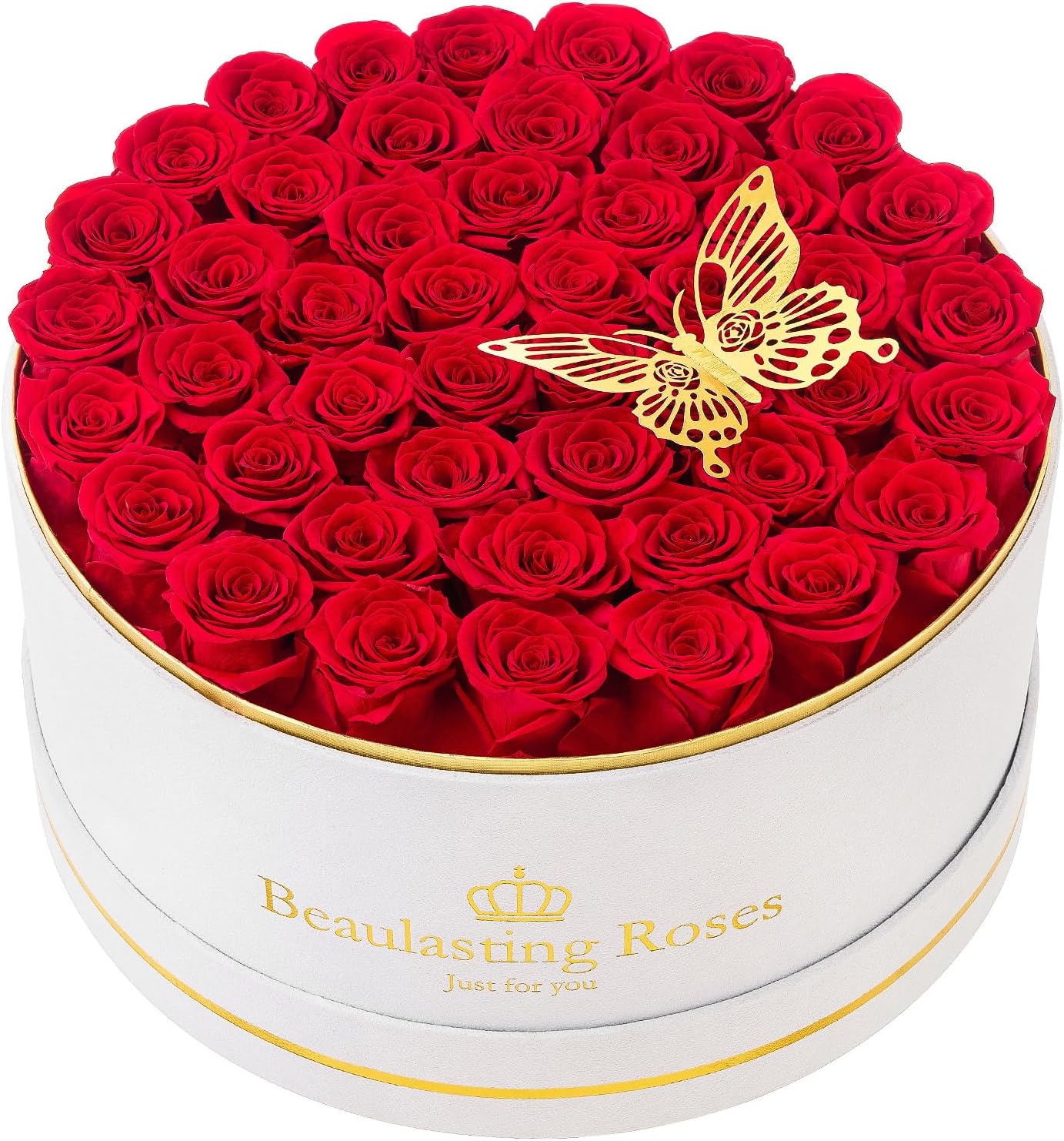 Dried & Preserved Flora