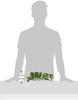 Exo Terra Plastic Terrarium Plant, Small, Croton