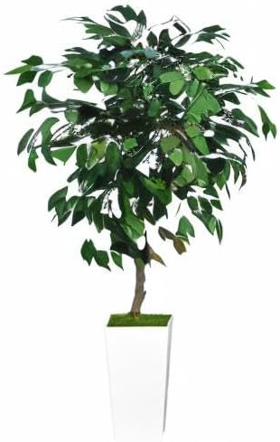 Artificial Ficus Tree 5FT - Faux Indoor Tree with White Tall Planter - Fake Ficus Floor Plant Potted - Artificial Silk Tree for Home Office Living Room Decor Indoor