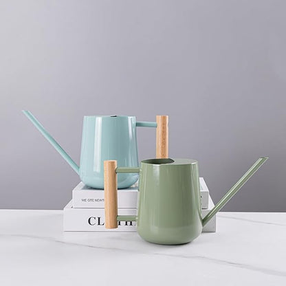 Watering Can Indoor Plants, 30oz/900ml Small Plant Watering Can with Long Spout, Stainless Steel Garden Watering Cans Outdoor Watering Pot for Indoor House Plants Bonsai Flower Decorative