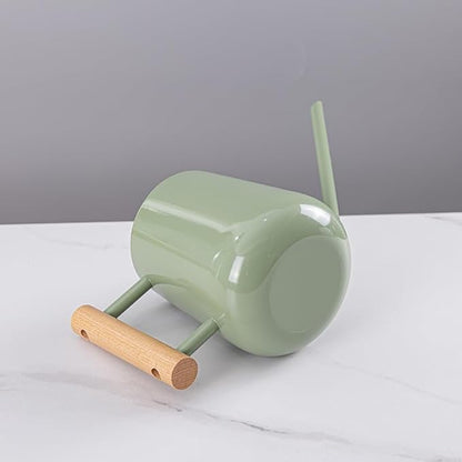 Watering Can Indoor Plants, 30oz/900ml Small Plant Watering Can with Long Spout, Stainless Steel Garden Watering Cans Outdoor Watering Pot for Indoor House Plants Bonsai Flower Decorative