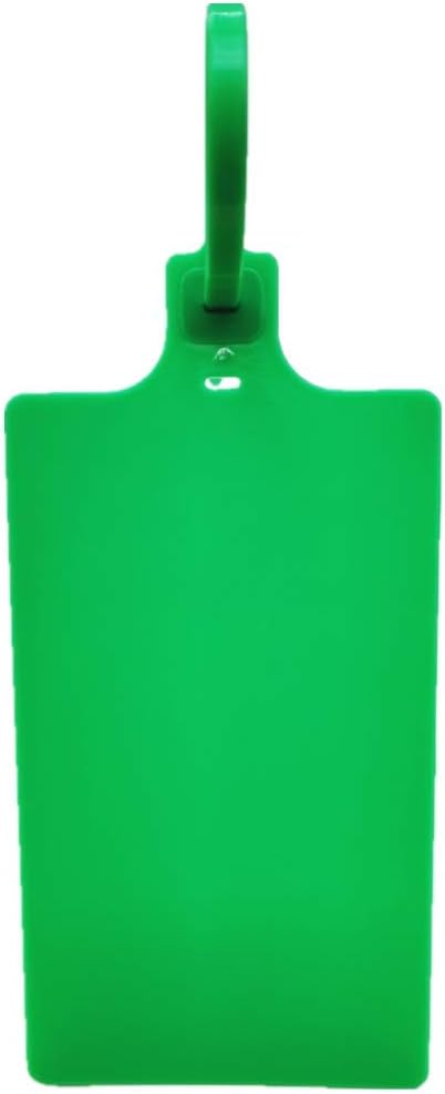 Plastic Seals Shipping Tags Logistics Use Big Sign Tie Large Label Tie, 255mm Total Length, Package of 100pcs (Green)