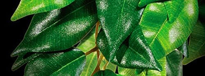 Exo Terra Plastic Terrarium Plant, Medium, Croton