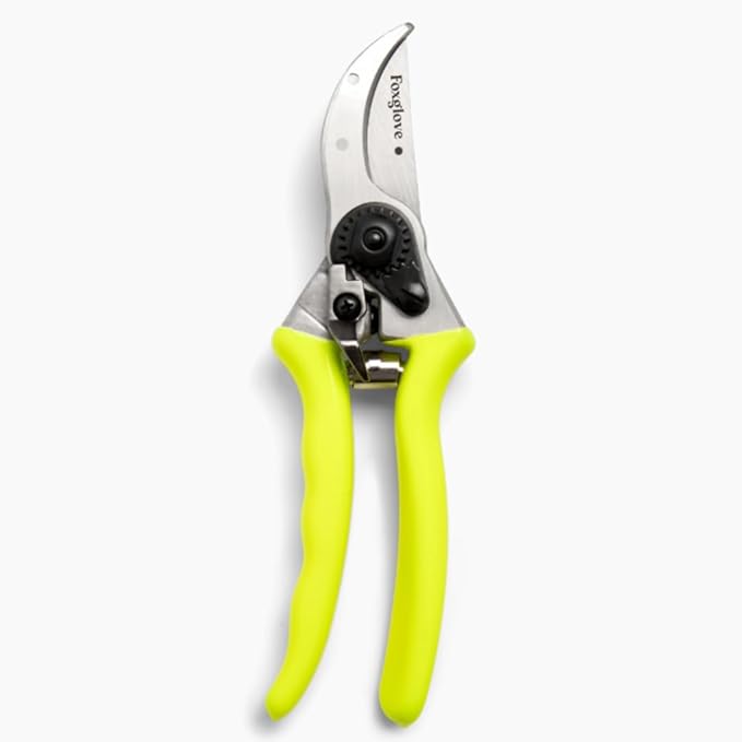 Foxglove 8.5" Pruning Shears – Professional Garden Shears & Bypass Hand Pruners with Japanese SK5 High Carbon Steel Blades, Heavy Duty Garden Clippers & Gardening Tools
