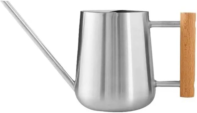 Watering Can Indoor Plants, 30oz/900ml Small Plant Watering Can with Long Spout, Stainless Steel Garden Watering Cans Outdoor Watering Pot for Indoor House Plants Bonsai Flower Decorative