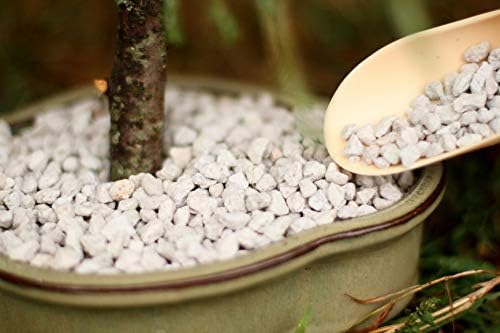 Bonsai Outlet Horticultural Pumice for Plants - Tinyroots Succulents, Cactus, Bonsai Plants - 100% Pure Bonsai Pumice Rocks, 1/4 inch Soil Additive, 2 Quarts