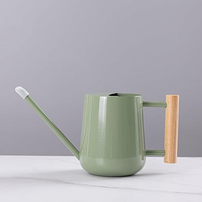 Watering Can Indoor Plants, 30oz/900ml Small Plant Watering Can with Long Spout, Stainless Steel Garden Watering Cans Outdoor Watering Pot for Indoor House Plants Bonsai Flower Decorative