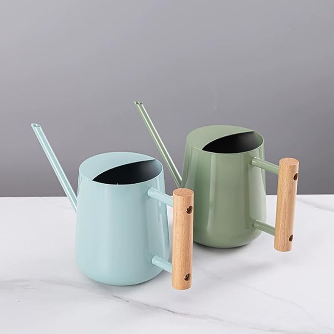 Watering Can Indoor Plants, 30oz/900ml Small Plant Watering Can with Long Spout, Stainless Steel Garden Watering Cans Outdoor Watering Pot for Indoor House Plants Bonsai Flower Decorative