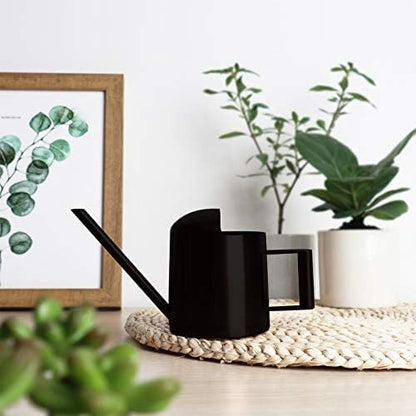 Mini Watering Can, 10oz/300ml Stainless Steel Long Spout Small Watering Can for Indoor Plants Succulents, Herbs (Black)