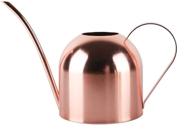 Small Watering Can for Indoor Plants, 15oz/450ml Stainless Steel Long Spout Watering Can for Succulents, Herbs (Rose Gold)