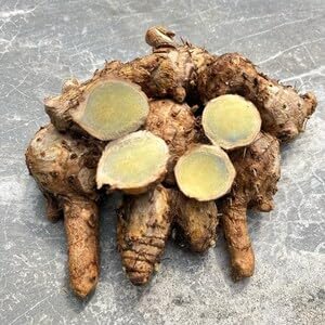 Green Turmeric Live Plant - (Curcuma aeruginosa) - Rare Medicinal Herb, Vibrant Pink Flowers, Ideal for Tropical Gardens (2 Green Turmeric Bags)