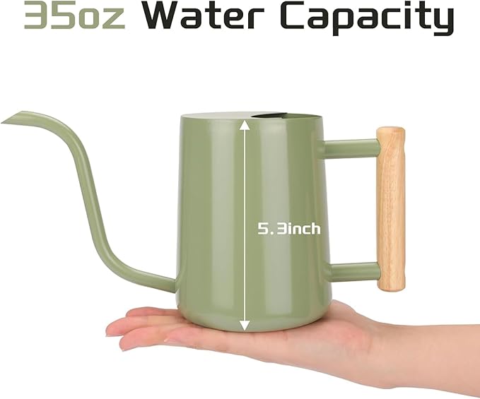 CEWOR Sage Green 35 Oz Metal Watering Can with Long Spout for Indoor & Outdoor Plants