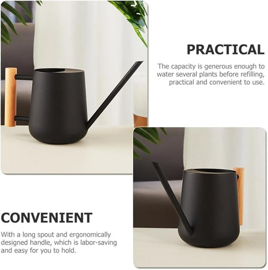 Watering Can Indoor Plants, 30oz/900ml Small Plant Watering Can with Long Spout, Stainless Steel Garden Watering Cans Outdoor Watering Pot for Indoor House Plants Bonsai Flower Decorative