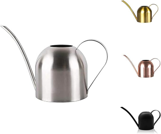 Small Watering Can for Indoor Plants, 15oz/450ml Stainless Steel Long Spout Watering Can for Succulents, Herbs (Silver)