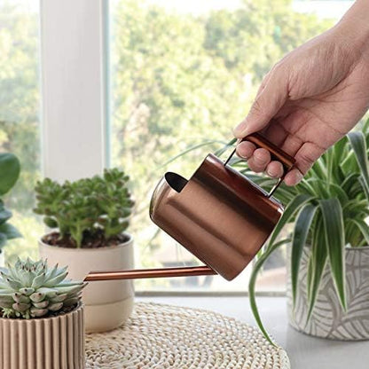 Mini Watering Can, 10oz/300ml Stainless Steel Long Spout Small Watering Can for Indoor Plants Succulents, Herbs (Bronze)