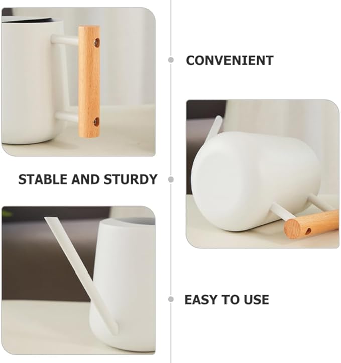 Watering Can Indoor Plants, 30oz/900ml Small Plant Watering Can with Long Spout, Stainless Steel Garden Watering Cans Outdoor Watering Pot for Indoor House Plants Bonsai Flower Decorative