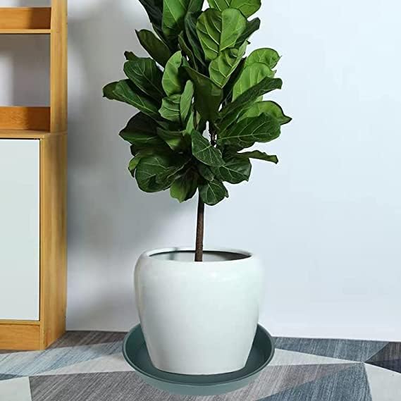 6 Pack of Bird Bath Bowl 8 inch, 8 10 12 14 16 18 20 inch Heavy Duty BirdBath Bowls only, Durable Plastic Round Large Plant Saucer Dish for Garden (8", Green)