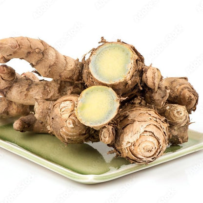 Green Turmeric Live Plant - (Curcuma aeruginosa) - Rare Medicinal Herb, Vibrant Pink Flowers, Ideal for Tropical Gardens (2 Green Turmeric Cups)