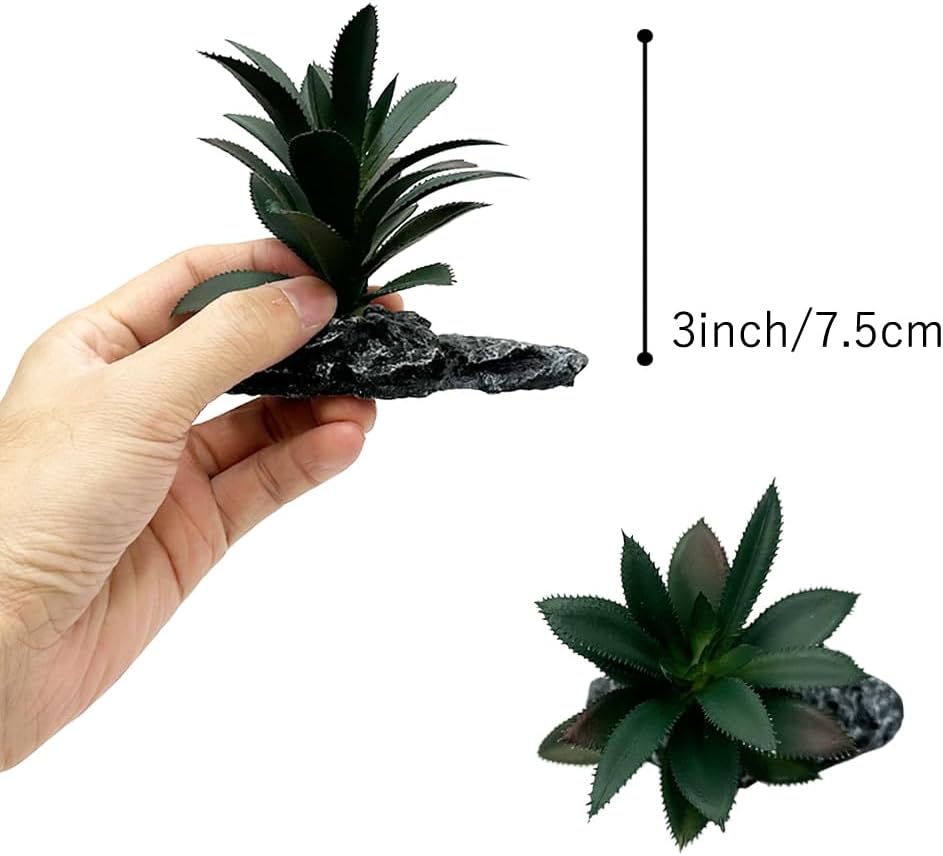Smoothedo-Pets Reptile Artificial Plants Succulent Terrarium Decor Desert Rainforest Plant Lizard Beard Chameleon Gecko Snake Amphibious Sea Turtle Tank Accessory (Dark-Green-3pcs-Se)
