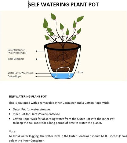 ShoppeWatch Self Watering Wall Planters for Indoor Plants 7 Pack | Hanging Planters Medium 5 Inch with Hooks | White Wall Pots for Plants | 5.0 x 5.3 inches PL34