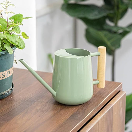 Watering Can Indoor Plants, 30oz/900ml Small Plant Watering Can with Long Spout, Stainless Steel Garden Watering Cans Outdoor Watering Pot for Indoor House Plants Bonsai Flower Decorative