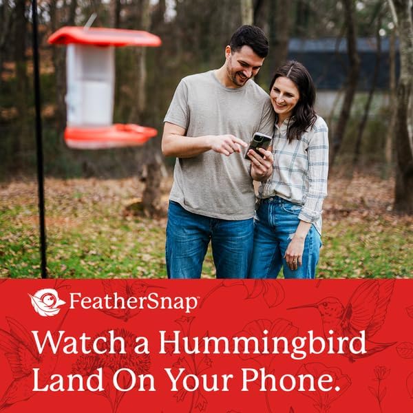Smart Hummingbird Feeder