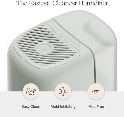 Canopy Bedside Humidifier 2.0, Moonstruck, 36 HR Run Time, 2.5L Capacity - Reading Light & White Noise - Alleviate Symptoms of Allergies, Cold, Dry Skin - Humidifier, Filter, Power Cord & Adapter