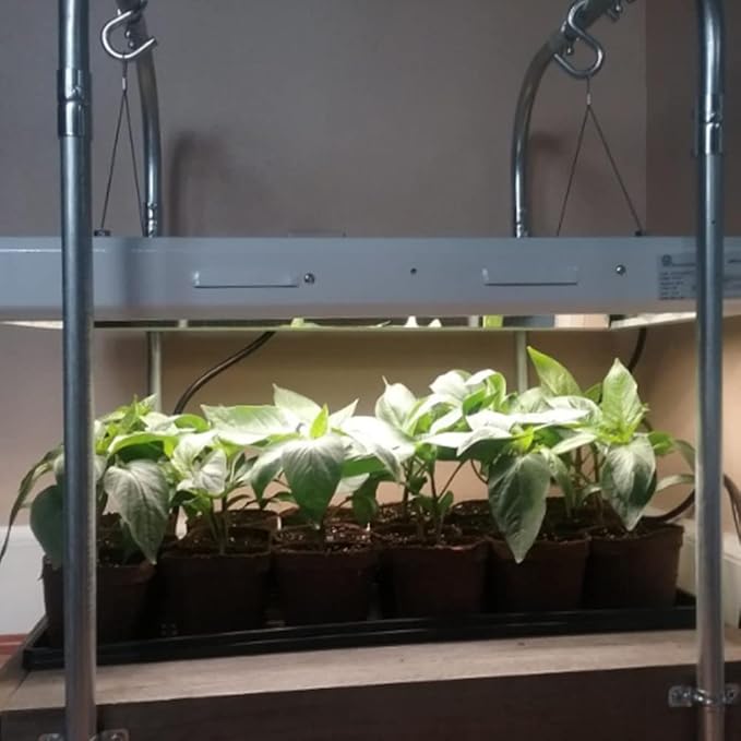 Active Grow T5 High Output 2FT LED Grow Light Bulb - T5 Grow Lights for Indoor Plants, Veg, Bloom, Leafy Greens & Microgreens - 12W - Sun White Full Spectrum High CRI 95 - Plug & Play - 4-Pack