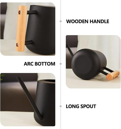 Watering Can Indoor Plants, 30oz/900ml Small Plant Watering Can with Long Spout, Stainless Steel Garden Watering Cans Outdoor Watering Pot for Indoor House Plants Bonsai Flower Decorative