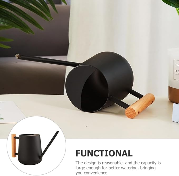 Watering Can Indoor Plants, 30oz/900ml Small Plant Watering Can with Long Spout, Stainless Steel Garden Watering Cans Outdoor Watering Pot for Indoor House Plants Bonsai Flower Decorative