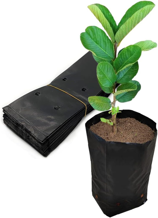 Belit 100 Pcs Plant Nursery Bags, Plastic Seedling Pots Container for Fruit Tree, Flower, Starting saplings, Plant Grow(4.7"x7.3")