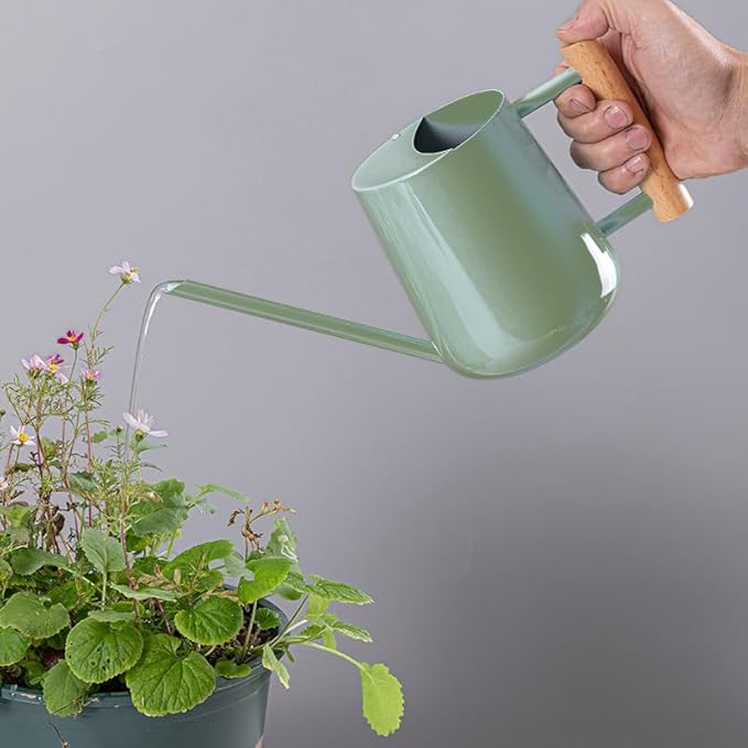 Watering Can Indoor Plants, 30oz/900ml Small Plant Watering Can with Long Spout, Stainless Steel Garden Watering Cans Outdoor Watering Pot for Indoor House Plants Bonsai Flower Decorative