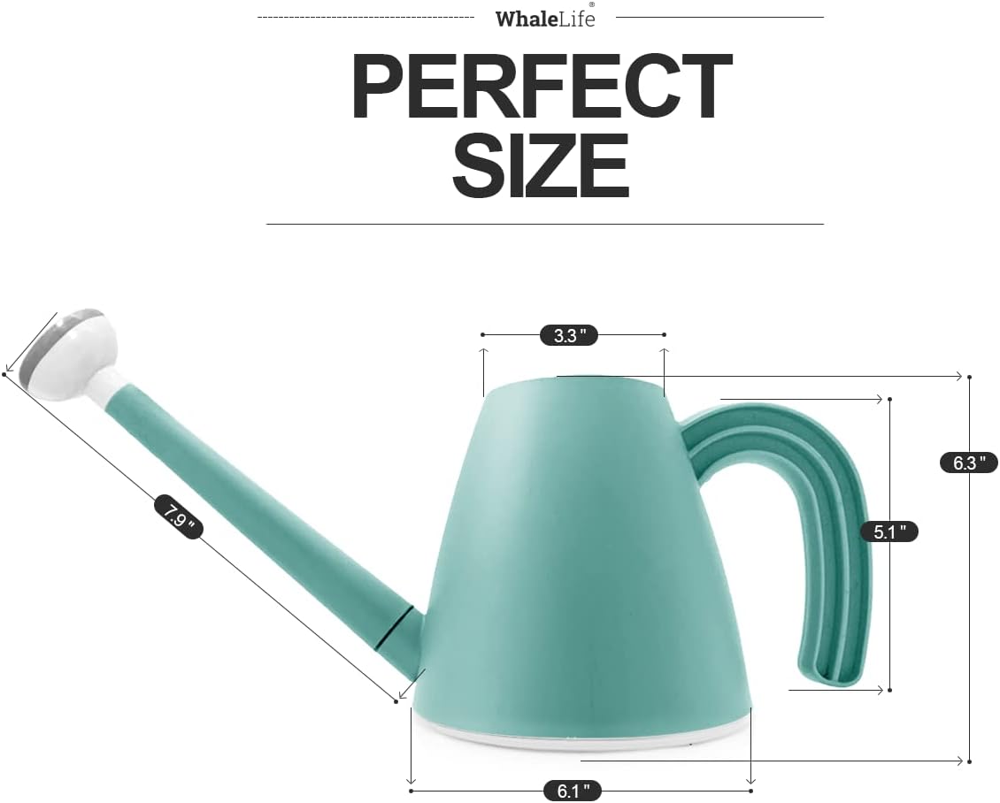 WhaleLife Indoor Watering Can for House Bonsai Plants (2.0L, Blue)