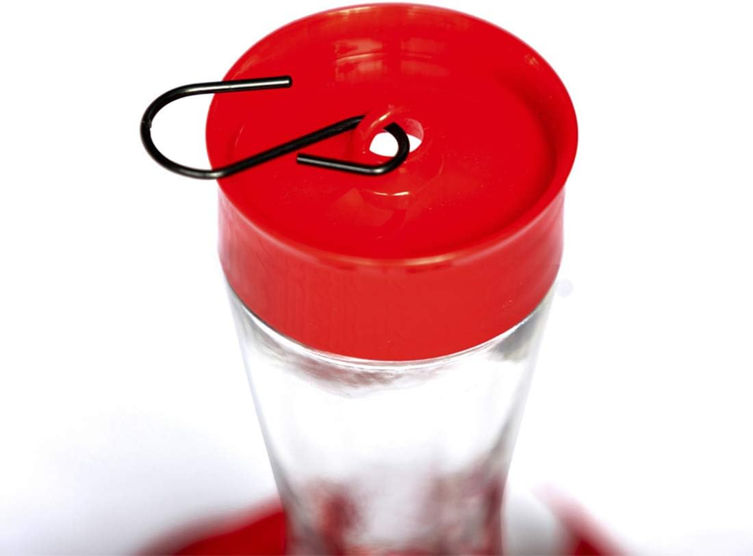 Nature's Rhythm Bird Feeder 4 bee Guard Plastic Feeding Port 8oz Glass Pinch Waist Hummingbird Feeder,1pcs