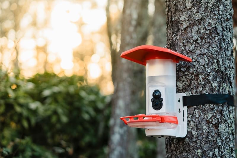 Smart Hummingbird Feeder