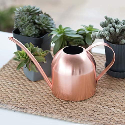Small Watering Can for Indoor Plants, 15oz/450ml Stainless Steel Long Spout Watering Can for Succulents, Herbs (Rose Gold)