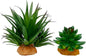 Smoothedo-Pets Reptile Artificial Plants Succulent Terrarium Decor Desert Plant Lizard Bearded Dragon Chameleon Gecko Snake Amphibian Habitat Hideout Turtle Tank Accessories (Green-2pcs-Set)
