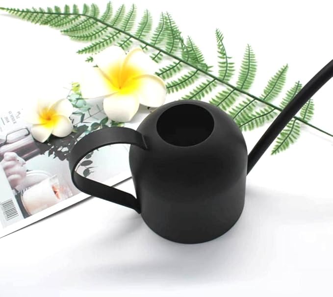 Small Watering Can for Indoor Plants, 15oz/450ml Stainless Steel Long Spout Watering Can for Succulents, Herbs (Black)