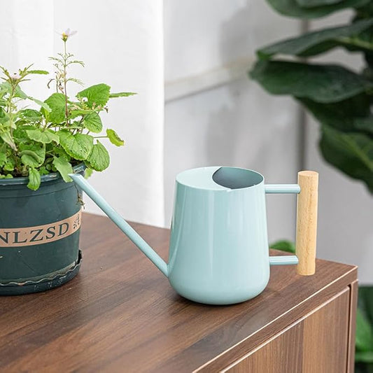 Watering Can Indoor Plants, 30oz/900ml Small Plant Watering Can with Long Spout, Stainless Steel Garden Watering Cans Outdoor Watering Pot for Indoor House Plants Bonsai Flower Decorative