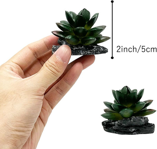 Smoothedo-Pets Reptile Artificial Plants Succulent Terrarium Decor Desert Rainforest Plant Lizard Beard Chameleon Gecko Snake Amphibious Sea Turtle Tank Accessory (Dark-Green-3pcs-Se)