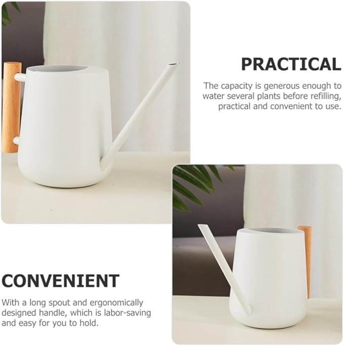 Watering Can Indoor Plants, 30oz/900ml Small Plant Watering Can with Long Spout, Stainless Steel Garden Watering Cans Outdoor Watering Pot for Indoor House Plants Bonsai Flower Decorative