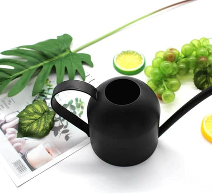 Small Watering Can for Indoor Plants, 15oz/450ml Stainless Steel Long Spout Watering Can for Succulents, Herbs (Black)