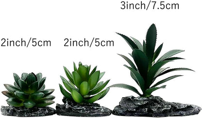 Smoothedo-Pets Reptile Artificial Plants Succulent Terrarium Decor Desert Rainforest Plant Lizard Beard Chameleon Gecko Snake Amphibious Sea Turtle Tank Accessory (Dark-Green-3pcs-Se)