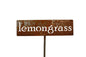 Classic Metal Garden Markers 19 Inches Tall (lemongrass, Naturally Rusted)