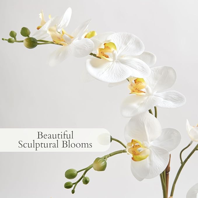 CG Hunter Faux Orchid Plant w/Succulents, Premium Artificial Indoor Flower Display Stands 23” w/Beautiful Sculptural Blooms and Succulents That Lasts Forever, Grey Planter Pot Included